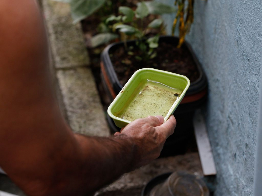 Santa Catarina O Estado Do Brasil Com Mais Mortes Por Dengue Em Sul Em Destaque